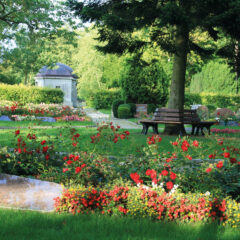 Coverbild Themengrabstätte Blättergarten